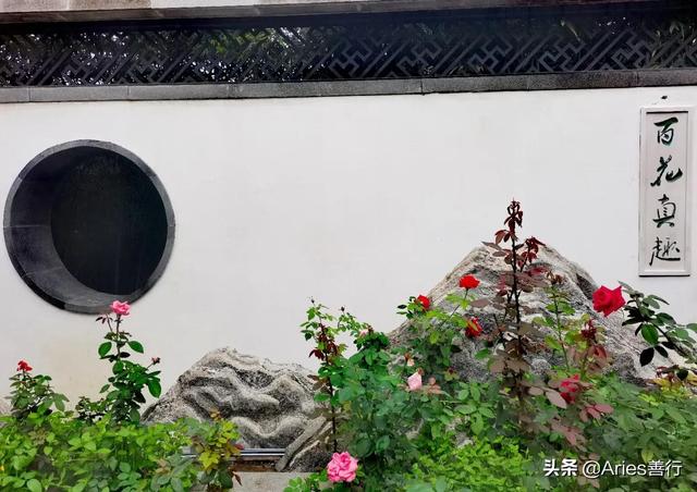 三更半夜的三更指的是几点，三更灯火五更鸡正是男儿读书时（趣味问答<涨知识>）