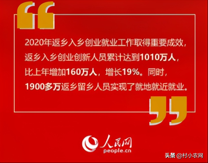 养什么赚钱()
