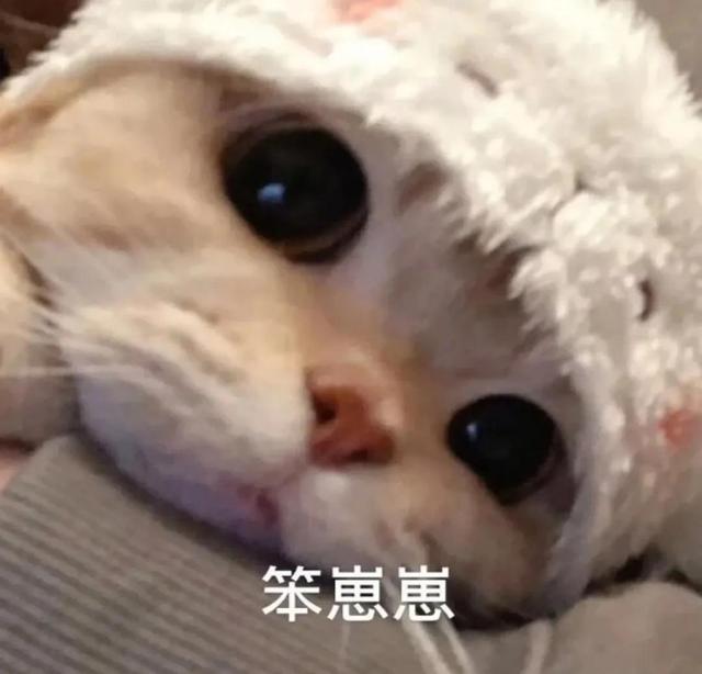 一对可爱狗狗表情包图集，情侣专用狗狗猫猫可可爱爱沙雕表情包