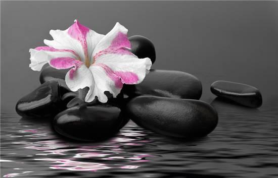 什么的神气，什么的神气填空（老子心法十诀）