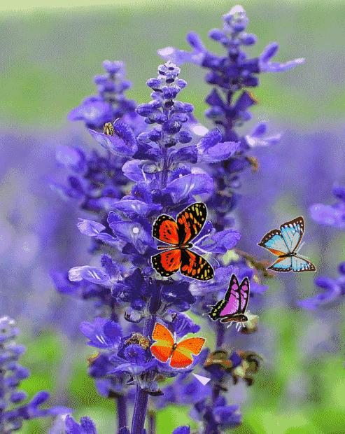 大彻大悟的10精美句子，大彻大悟的10个精美句子（累了就看看；大彻大悟）