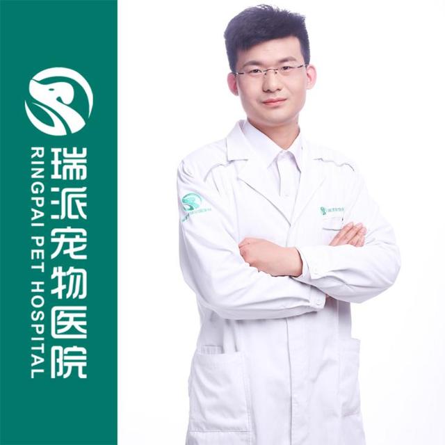 哈尔滨宠物医院，十大哈尔滨宠物医院排名（瑞派宠物医院告诉你最牛医院的正确打开方式）
