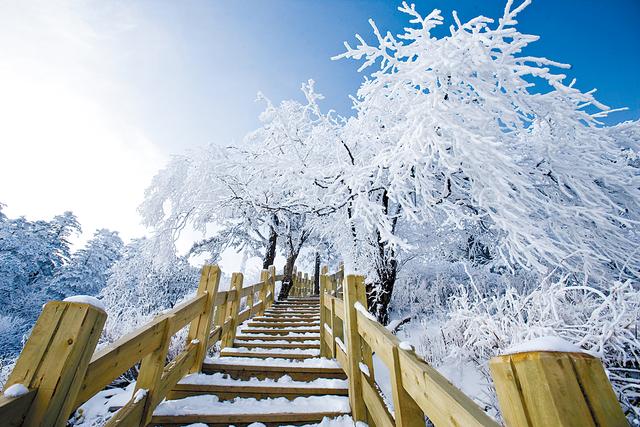 西岭雪山在哪里，西岭雪山在哪里（高山滑雪——西岭雪山）