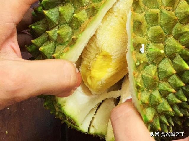 菠萝蜜怎么剥皮小窍门，如何剥菠萝蜜（公认“最难剥皮的6种水果”）