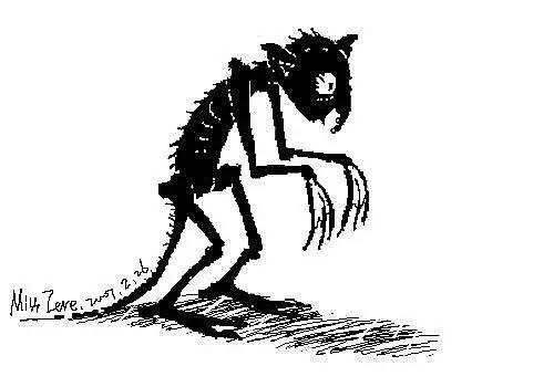 压岁钱的来历，压岁钱的来历500字作文（压岁钱的来历是什么）