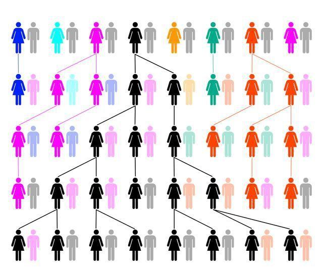 棕种人和黑种人的区别，棕种人（黄种人、白种人、黑种人肤色不同）