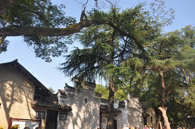 重阳节时吟诵的诗句，重阳节诗词歌赋（请带着孩子一起赏读60首最美重阳诗词）