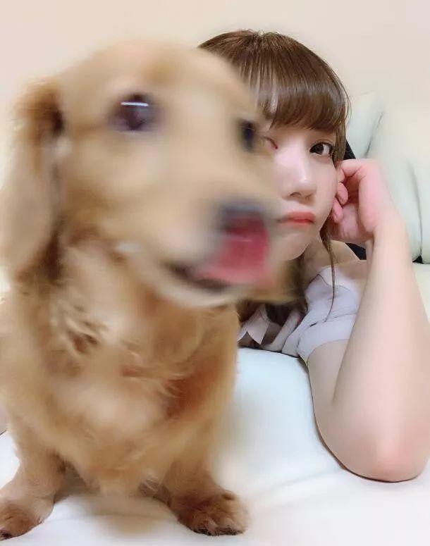 贤惠仙狐小姐，贤惠仙狐小姐萌动漫（自称每周只换一次浴缸水图片）