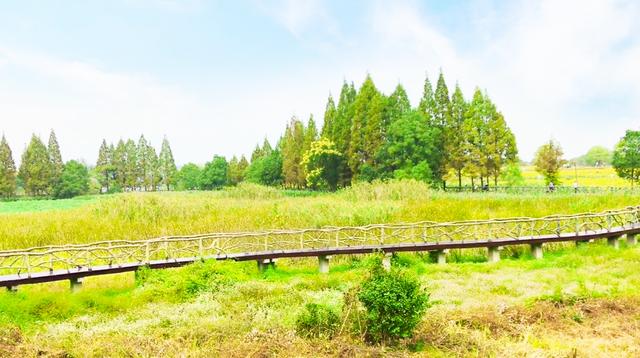 武汉森林公园在哪里，武汉森林公园地址查询（十月游武汉森林公园绿道）