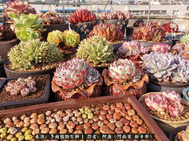 2021九·一八事变是多少周年，2021年是九一八事变的几周年（献给2021最好的春天）