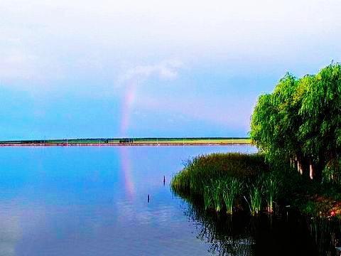 黑龙江一垧地是多少亩，黑龙江一垧地是多少亩（农民亩产年纯收入却仅666元）