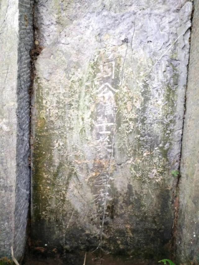 代世集团代勇，代世集团代勇真实身份（周代勇—寻根问祖 周氏朔源）