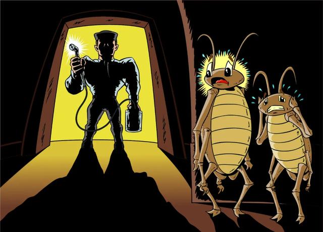 为什么有的蟑螂会飞有的不会,为啥有的蟑螂会飞(北方人永远不知道) 为什么有的蟑螂会飞有的不会,为啥有的蟑螂会飞(北方人永远不知道)