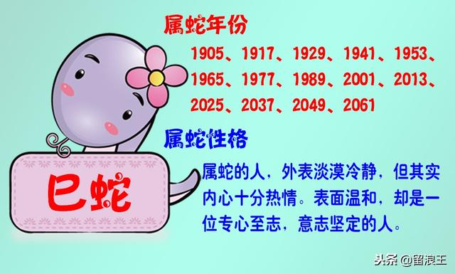 十二生肖与人生运势，十二生肖财富运势（十二生肖的性格及运势）