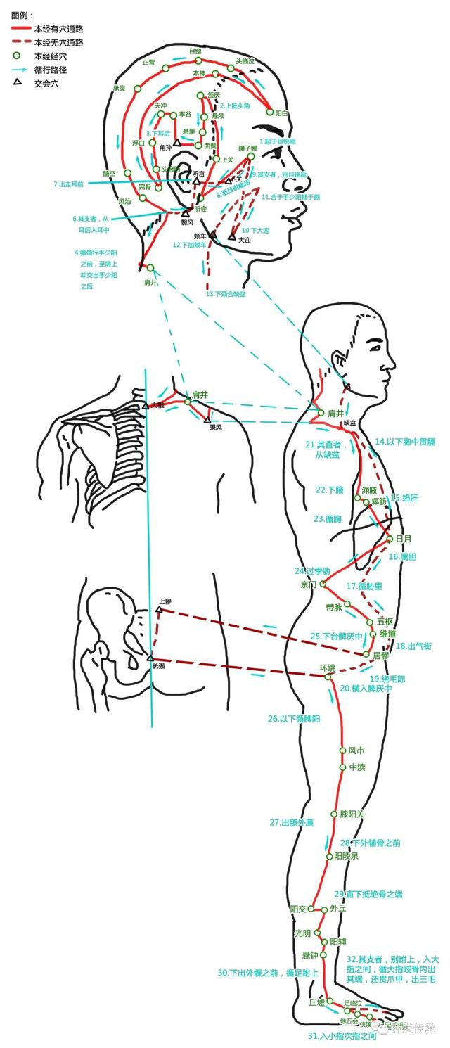 十二经脉歌诀必背，十二经脉流注次序歌诀必背（这篇十二经脉解读汇总全告诉你）