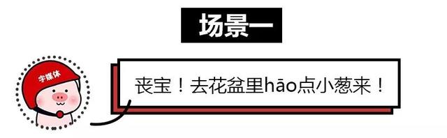 扑街是什么意思，电影扑街是什么意思（hāo羊毛、kuǎi一勺…这些常说的字你会写几个）