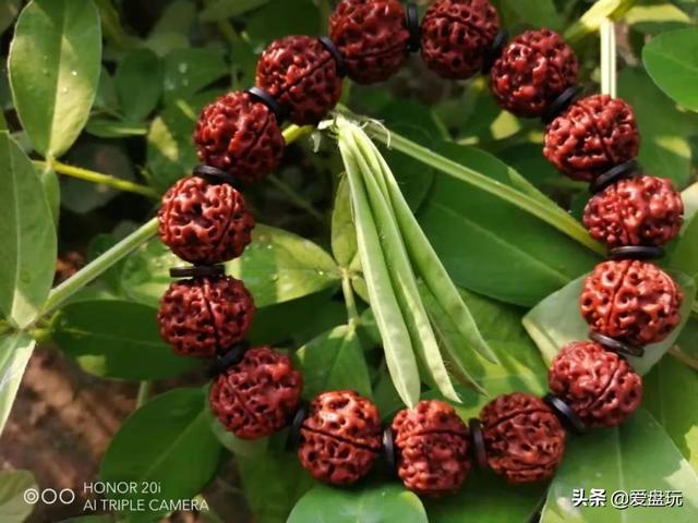 桃核手串什么样的最名贵，什么品种的桃核手串好有价值（这6种“白菜价”手串）