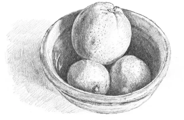 画素描步骤有几个，画一幅素描的基本步骤（零基础，也能画好的素描教程）