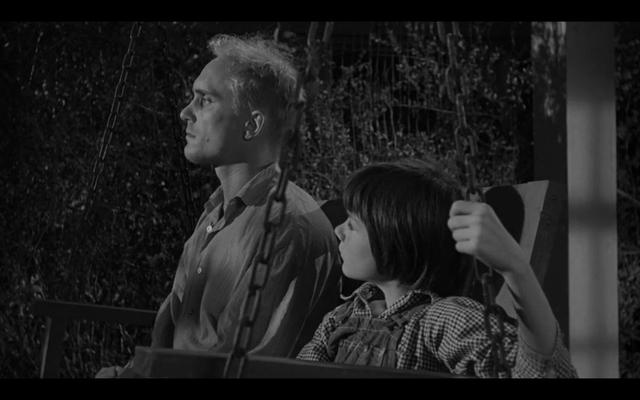 知更鸟的寓意和象征，知更鸟象征什么（《杀死一只知更鸟》）