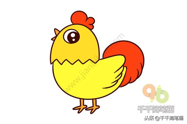 公鸡母鸡简笔画，公鸡母鸡简笔画彩色（一分钟学会画大公鸡和大母鸡）