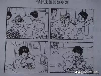 如何画南瓜及南瓜藤，南瓜藤绘画图（小学低年级看图写话技巧全方位解析）