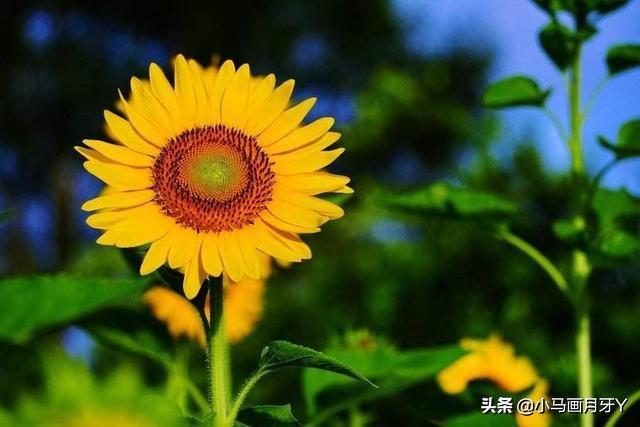 迨怎么读什么意思，谁能告诉我这些字怎么读?