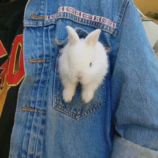 酷酷背景图，全网最火背景图（酷酷的微信朋友圈背景图）