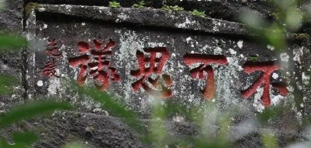 岩茶有哪些品种，武夷山岩茶有哪些品种（武夷岩茶五大分类）