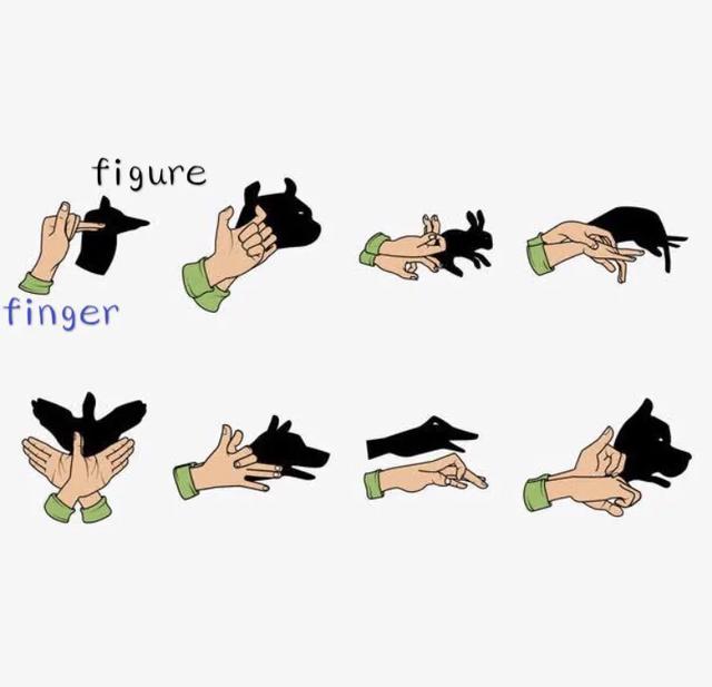 finger怎么读，趣味记单词之finger和figure