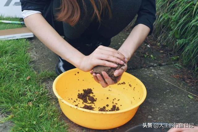 钓鱼基础饵料有哪几种，了解三种常用饵料的优劣势、适用鱼情