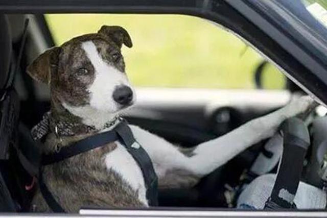 怎样挽回男朋友，怎么挽回自己的男朋友（挽回男朋友思路方法流程）