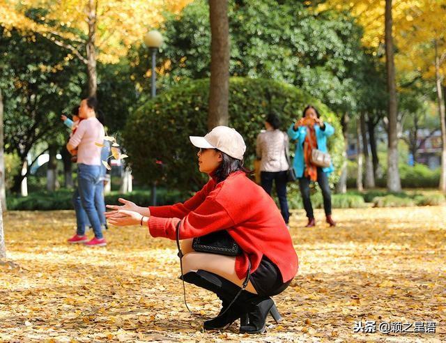 银杏叶的寓意，银杏叶的寓意和花语是什么（院士林银杏叶黄如金）