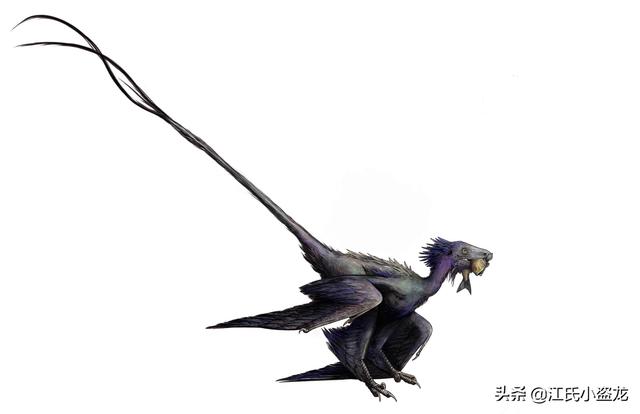 re网名的含义，Re微信昵称（2020古生物学家到底命名了多少种恐龙）