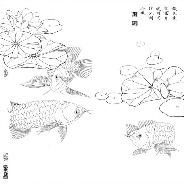 工笔荷花白描，高清工笔荷花白描 110幅