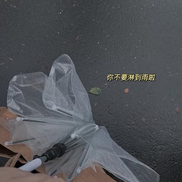 天气下雨文案，天气有雨文案（适合下雨天发的文案）