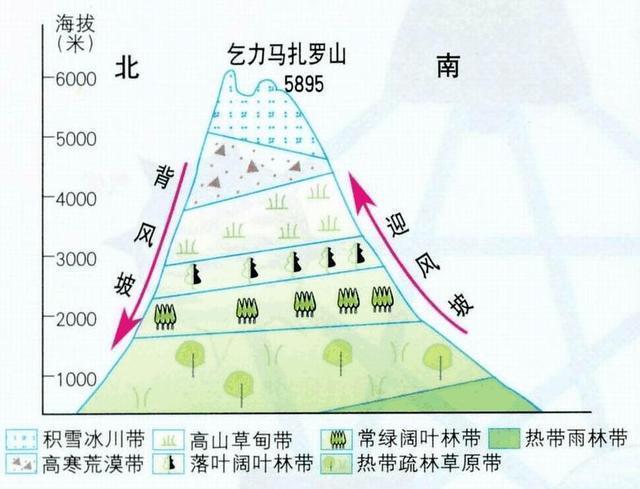 热带草原气候特点,热带草原气候特征是什么( 非洲气候,热带草原气候