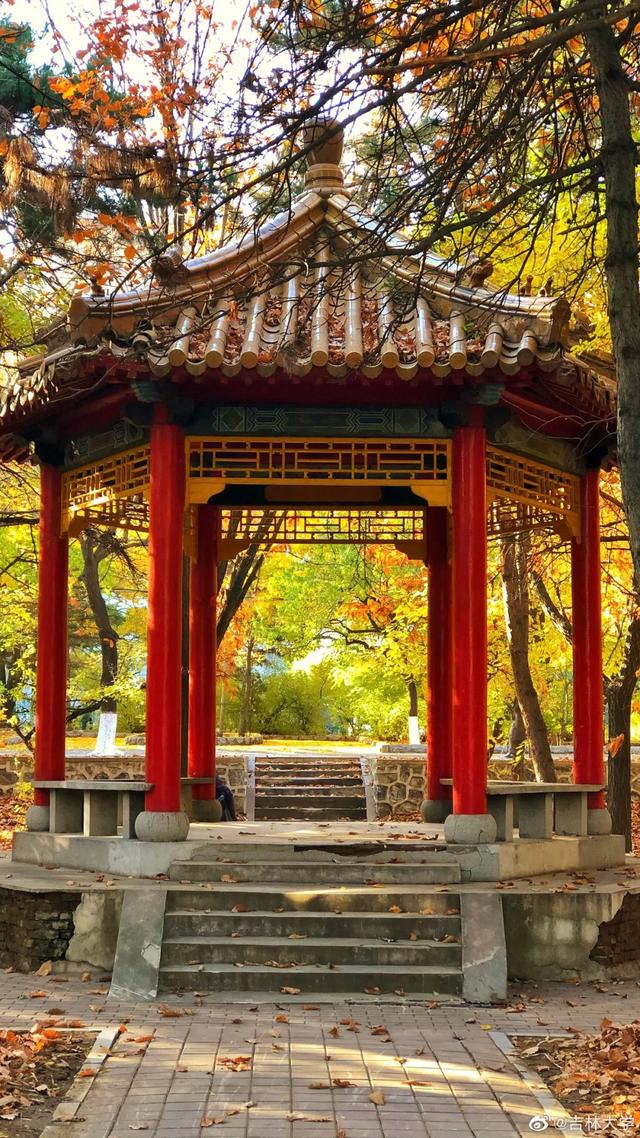 燔怎么读，鏊怎么读什么意思（我想把一整个秋天送给你）