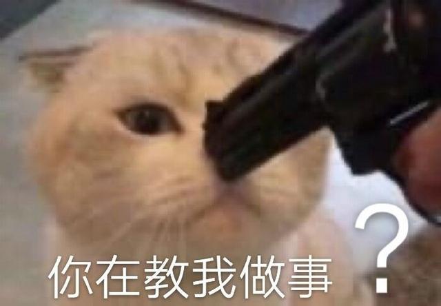 你在教我做事啊表情包，“你在教我做事（表情包：你在教我做事）