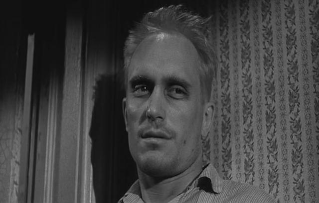 知更鸟的寓意和象征，知更鸟象征什么（《杀死一只知更鸟》）