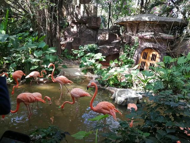 番禺有什么好玩的地方，番禺有什么好玩的（广州番禺旅游攻略<C篇>）