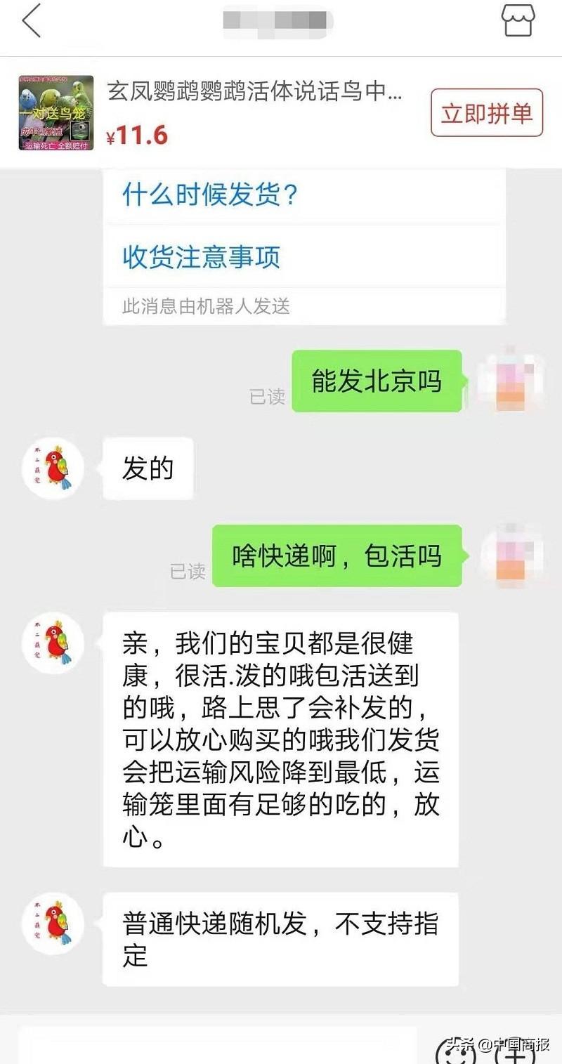 宠物寄快递多少钱 宠物快递费用