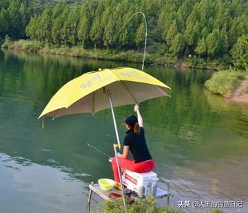 仲春是什么意思，仲夏仲春是什么意思（仲春野钓鲫鱼：深度分析）