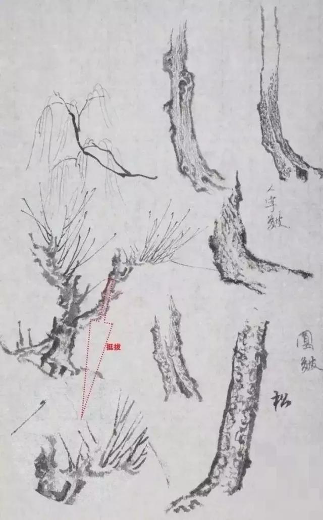 国画教程是什么，国画简单教程（传统国画基础教程，几步教会你）