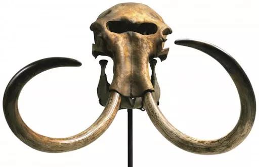 希腊黑暗时代，希腊黑暗时代的两个遗产（希腊人是如何从黑暗时代走向复兴的）