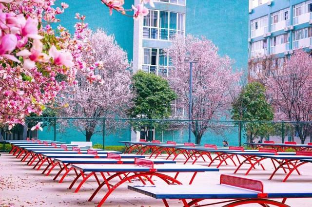 西安培华学院校园网，西安培华学院宿舍条件怎么样（网友眼中“别人家孩子的大学”）