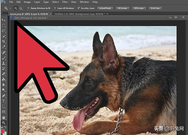 ps怎么把图片变成黑白，用PS把彩色照片变成黑白色的5种方法（使用Photoshop将彩色照片转换成黑白照片的办法）
