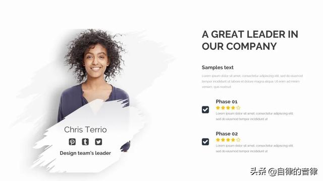 矢量文件是啥意思，矢量文件是啥意思呢（不知道笔刷在PPT里怎么用）