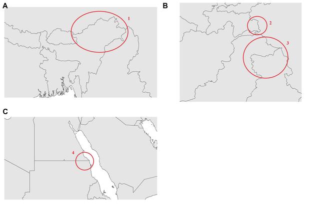 世界地图怎么画，怎样三笔巧妙画出世界地图（如何用R语言绘制并填充相对正确的世界地图）