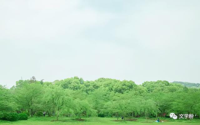 人生语录写给自己，一段人生语录写给自己（致自己的文案，人生感悟）
