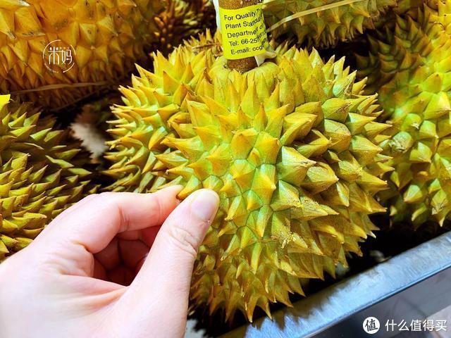 如何挑选榴莲有哪些简单技巧，包多肉厚又香又甜